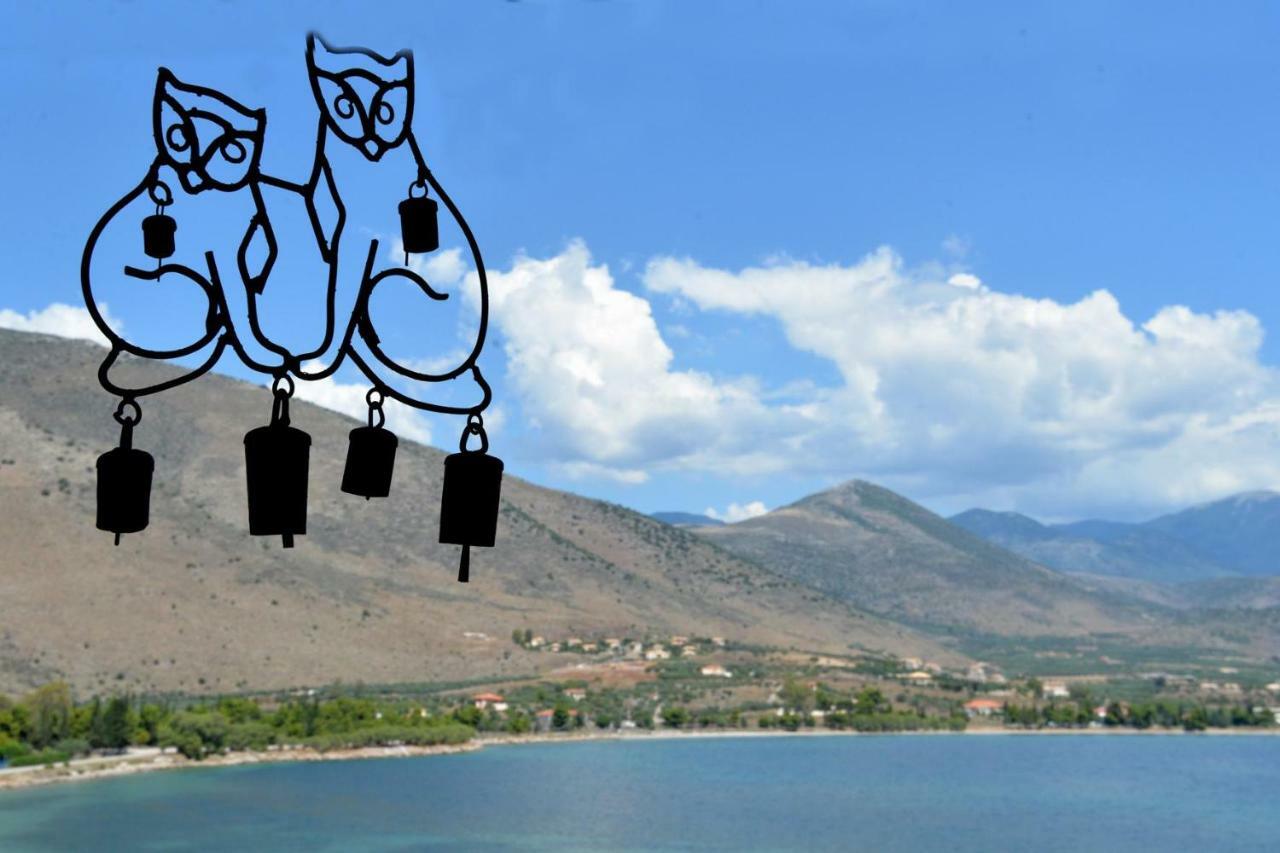 Daire Aphrodite's Coast Retreat House! *